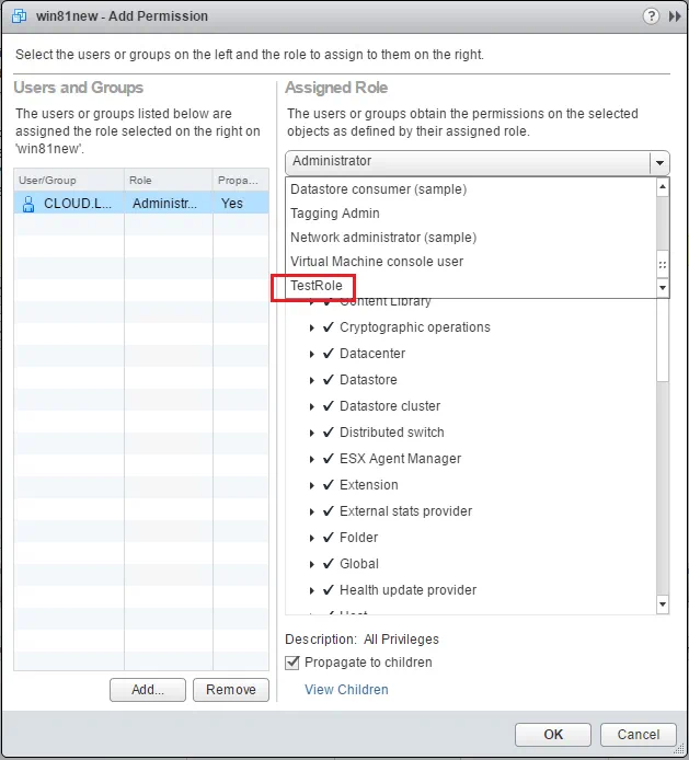 Assigned Role VMware vSphere Web Client - Assigned Role