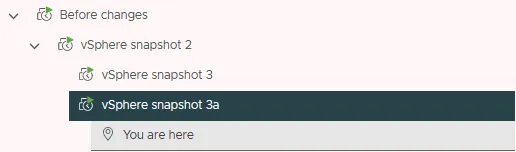 A VMware vSphere snapshot tree