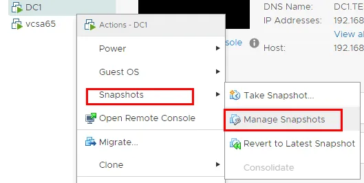 Managing vSphere snapshots