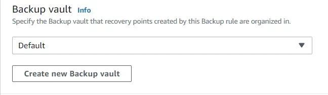 Choosing the Backup Vault in AWS EC2 Backup