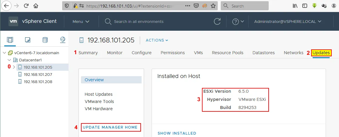 The Updates tab is available when VMware Update Manager is installed.