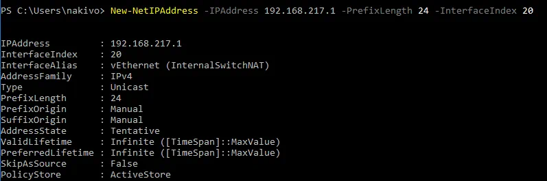 Setting the IP address for the virtual network interface used for the virtual switch in the NAT mode