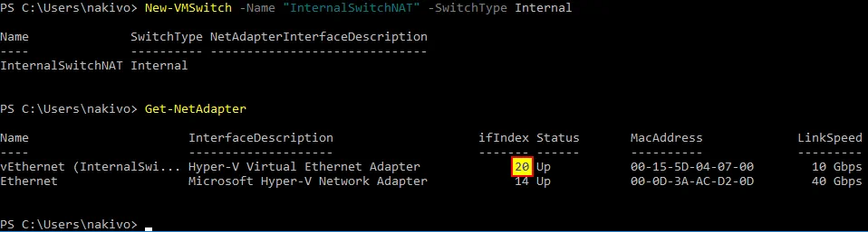 Viewing the list of network adapters in Windows PowerShell