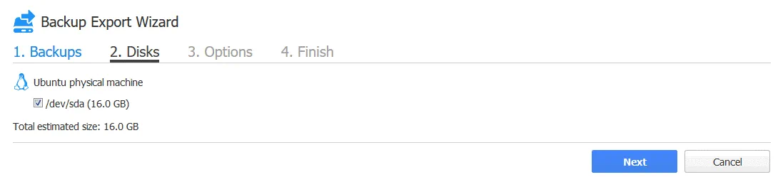 Selecting the disks to be exported and recovered