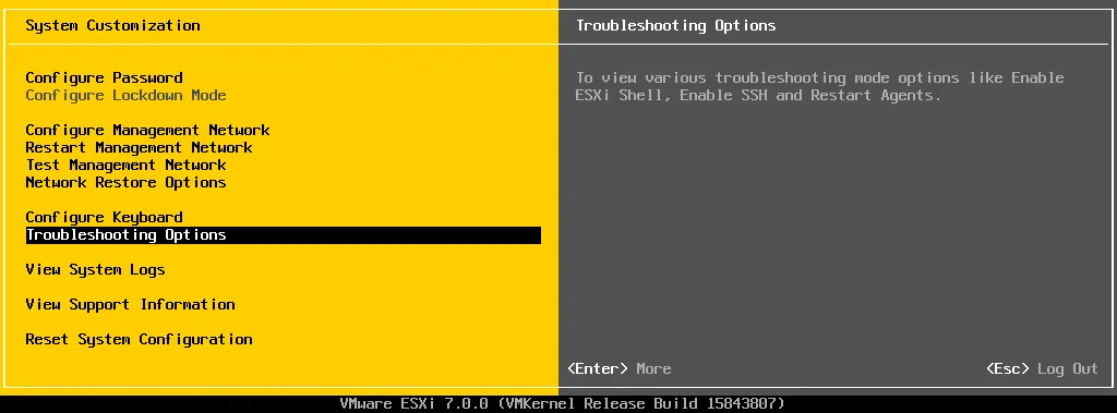 ESXi-7-Troubleshooting-options