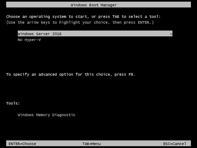 Two boot options in Windows Boot Manager