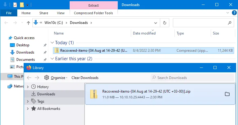Recovered files are downloaded in a web browser