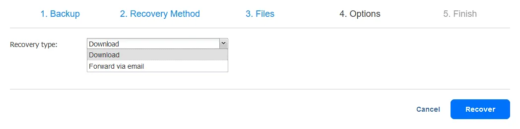 Selecting options for the file recovery type
