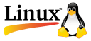 windows_company_logo