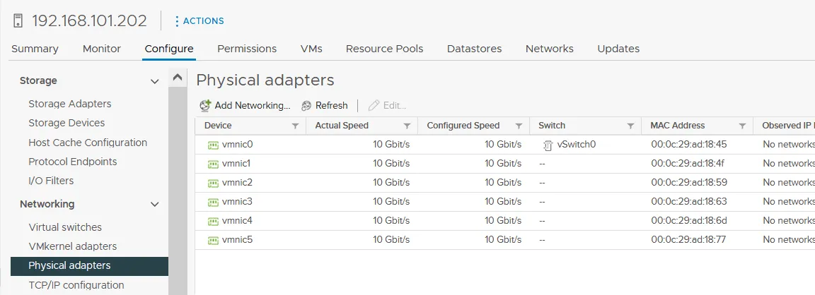 Physical NICs on an ESXi host - two of them will be used to create vMotion network