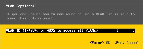 ESXi VLAN setup in DCUI