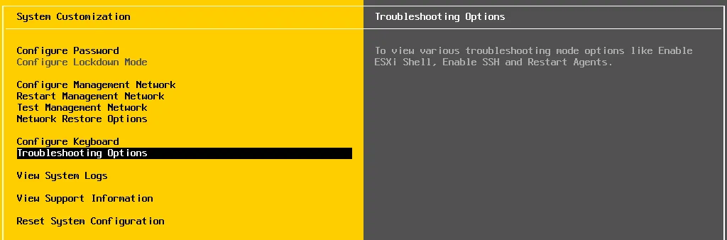 How to configure ESXi troubleshooting options in DCUI