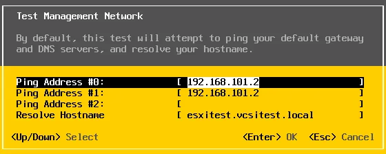 Test whether ESXi resolving hostname failed